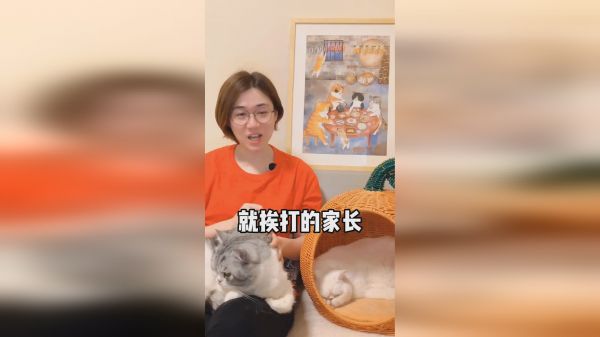 猫咪喂药小技巧，你会徒手喂了么？