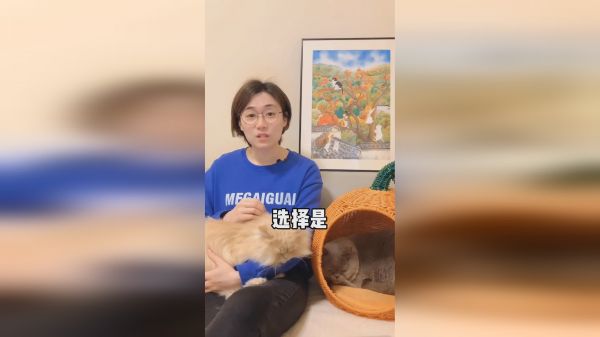 猫咪要如何表达对你的爱！