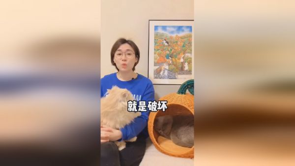 猫咪洗澡不用太勤哦！