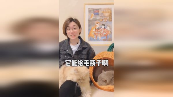 你家的猫咪也在家疯跑么？