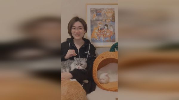 你在猫咪眼里是陌生人么？