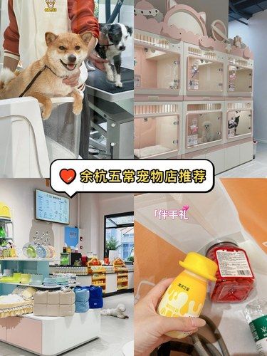 在杭州五常❗️宠物19.9洗澡领伴手礼洗澡