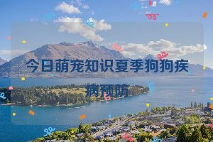今日萌宠知识夏季狗狗疾病预防