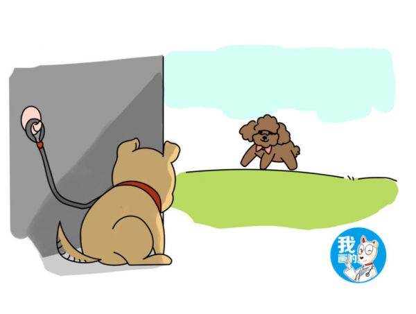 狗狗患上佝偻病，只是缺乏维生素 D？这几点原因也要多注意 