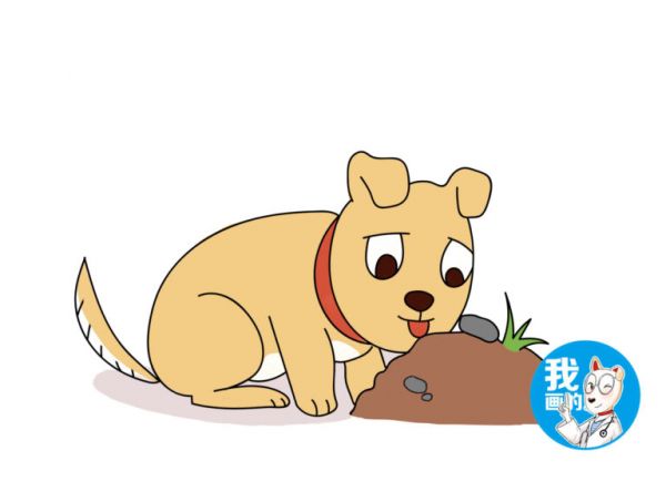 狗狗患上佝偻病，只是缺乏维生素 D？这几点原因也要多注意 