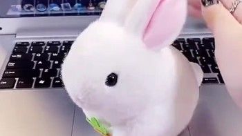 仓鼠拉线会摇尾巴的小兔子毛绒玩具兔子玩偶转动公仔娃娃生日礼物