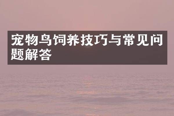 宠物鸟饲养技巧与常见问题解答