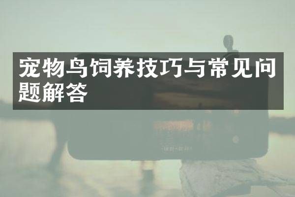 宠物鸟饲养技巧与常见问题解答