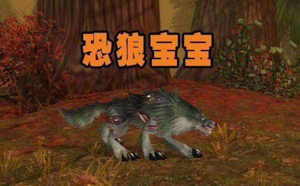 魔兽世界猎人稀有宝宝大全（魔兽世界60版本猎人稀有宝宝）