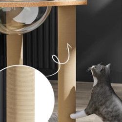 HOUYA 包邮实木猫爬架猫窝猫树抓板太空舱猫架宠物用品猫咪玩具宠物用品