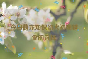 今日萌宠知识幼犬初期辅食的选择