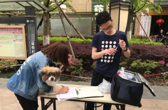辟谣，狗狗并不需要每年接种疫苗，且昂贵犬八联与六联相差无几！