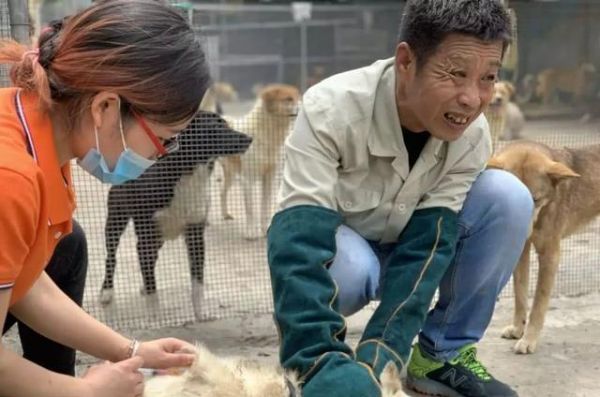辟谣，狗狗并不需要每年接种疫苗，且昂贵犬八联与六联相差无几！