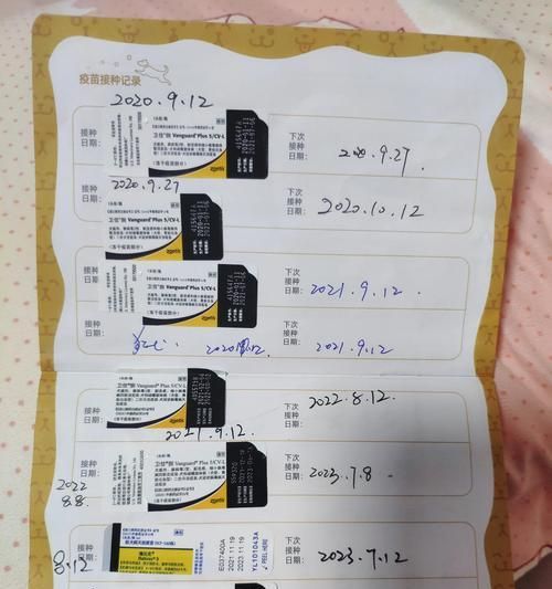 狗狗疫苗接种指南（详解狗狗接种疫苗的注意事项和时间表）