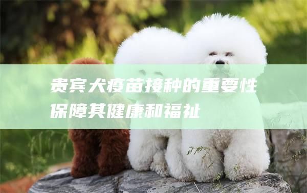 贵宾犬疫苗接种的重要性保障其健康和福祉