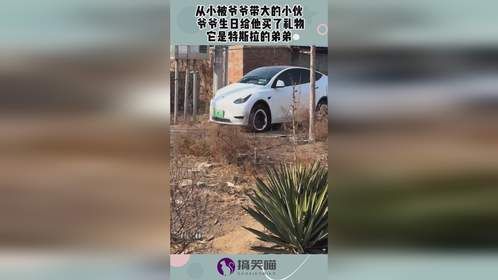 从小被爷爷带大的小伙，爷爷生日给他买了礼物，它是特斯拉的弟弟