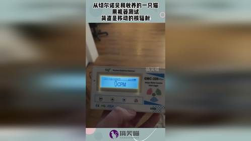 从切尔诺贝利收养的一只猫，用机器测试，简直是移动的核辐射！