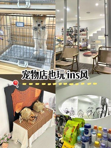 居然还有这么人性化的宠物店吗‼️