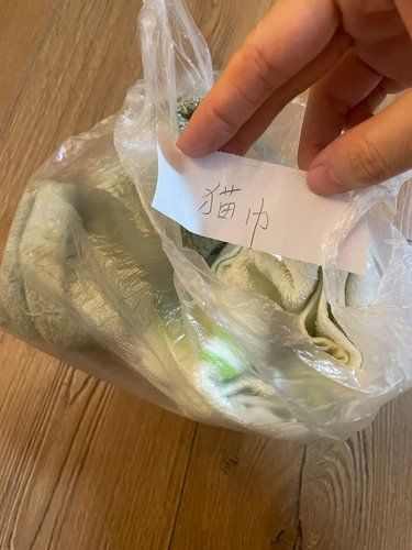 妈妈给我猫准备了“猫巾”