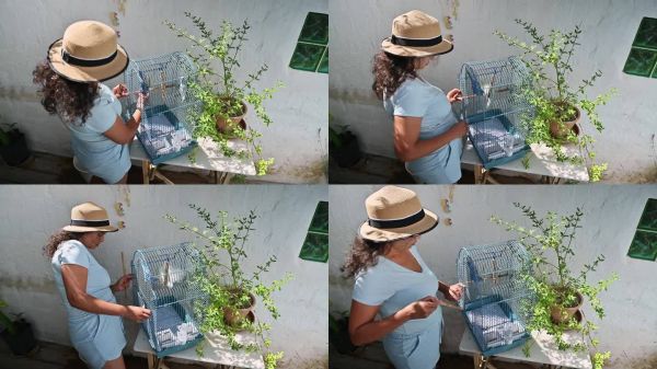 女人在阳光明媚的日子里照顾笼子里的宠物鸟，展示了在花园环境中对家庭宠物的爱与关怀。