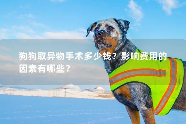 狗狗取异物手术多少钱？影响费用的因素有哪些？
