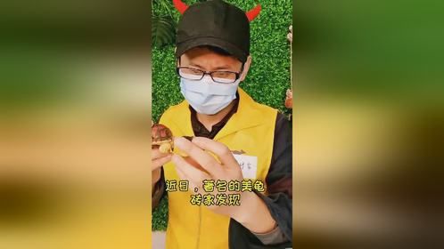 你肯定不的信的，但我信了
