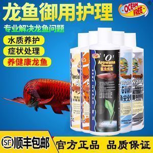 龙鱼和金鱼哪个好养一点（关于龙鱼和金鱼饲养难度的一些信息）