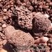 水族鱼缸装饰过滤火山石云南发