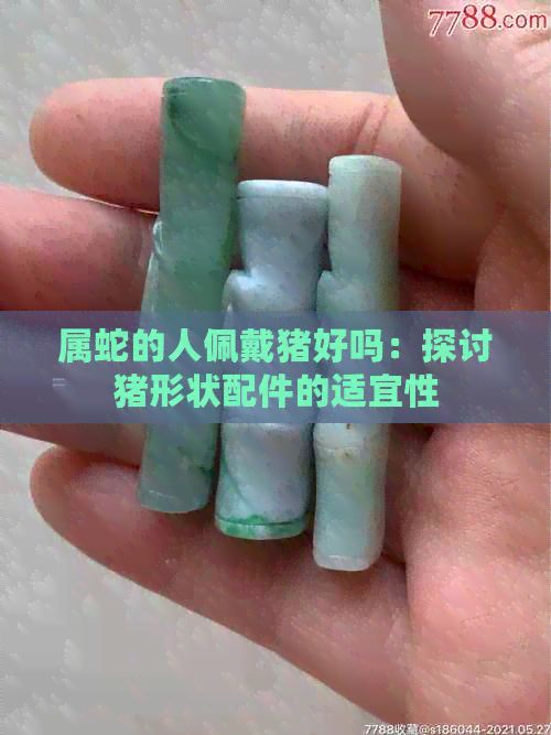 属蛇的人佩戴猪好吗：探讨猪形状配件的适宜性