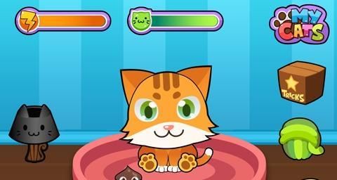 《小猫咪游戏》详解（宠物养成游戏如何玩）