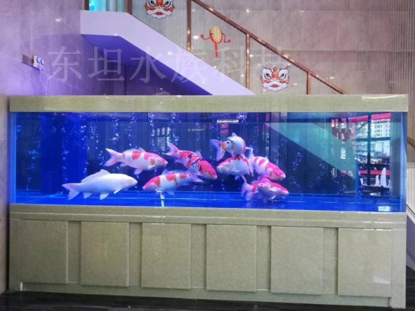 荔湾生态鱼缸设计图片,荔湾鱼缸水管布置图,广州生态鱼缸
