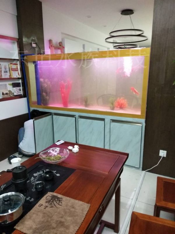 海珠生态鱼缸设计图片,海珠鱼缸价格,广州生态鱼缸