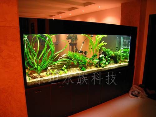 南沙生态鱼缸定做电话,南沙鱼缸设计图,广州生态鱼缸