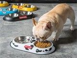 无锡宠物食品与用品服务 无锡宠物猫梳子 高效耐用