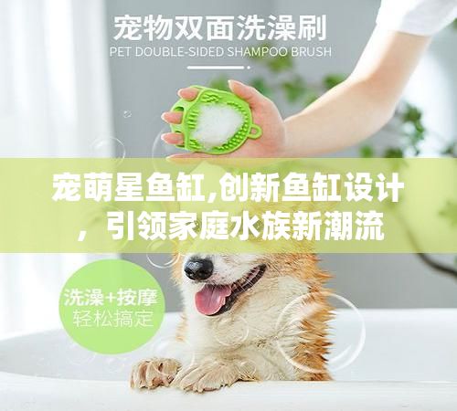 宠萌星鱼缸,创新鱼缸设计，引领家庭水族新潮流