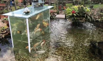 生态鱼缸的设计原理：户外生态鱼缸的设计原理 鱼缸百科 第2张