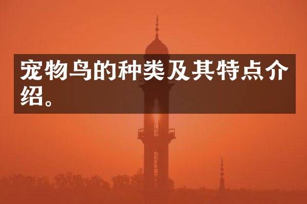 宠物鸟的种类及其特点介绍。