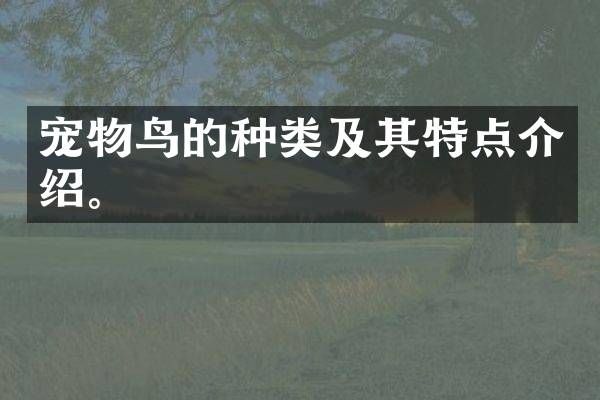 宠物鸟的种类及其特点介绍。