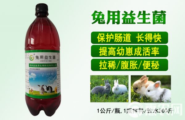 饲料添加剂 兔子益生菌活菌肉兔宠物兔添加剂保护肠胃拉稀便秘