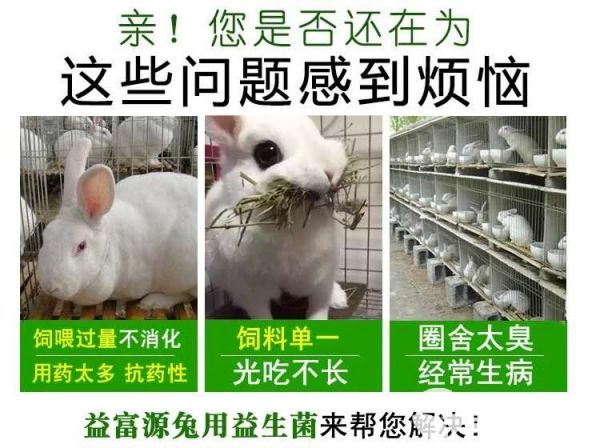 饲料添加剂 兔子益生菌活菌肉兔宠物兔添加剂保护肠胃拉稀便秘