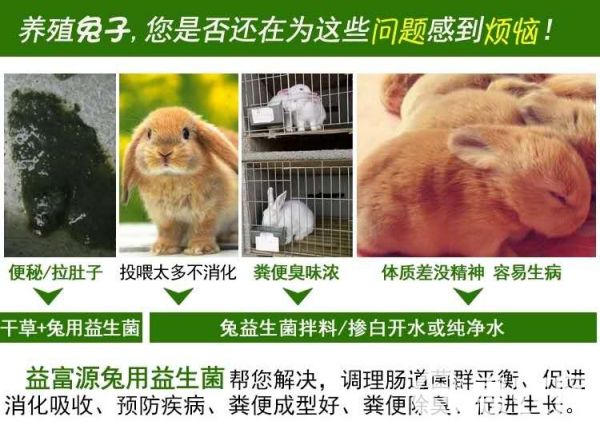 饲料添加剂 兔子益生菌活菌肉兔宠物兔添加剂保护肠胃拉稀便秘