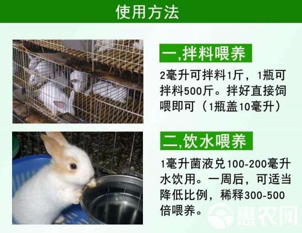 饲料添加剂 兔子益生菌活菌肉兔宠物兔添加剂保护肠胃拉稀便秘