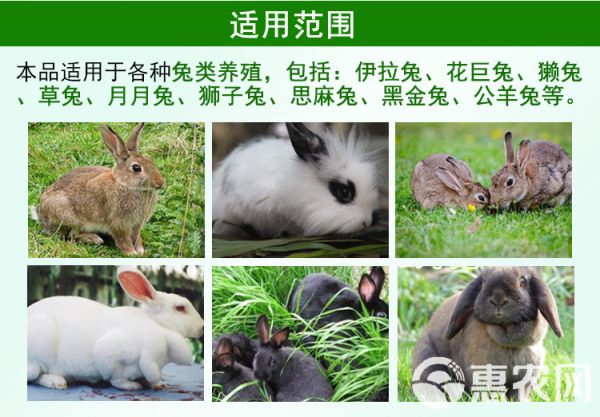 饲料添加剂 兔子益生菌活菌肉兔宠物兔添加剂保护肠胃拉稀便秘