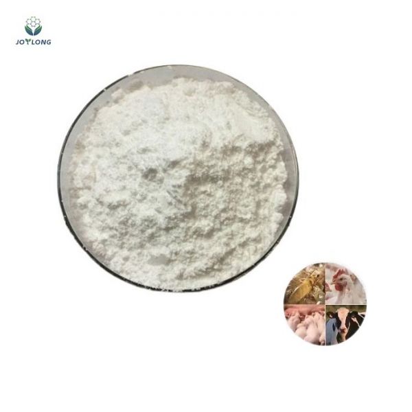 Factory Direct Pets Poultry Livestocks Feed Additive Probiotics Powder Enterococcus Faecium