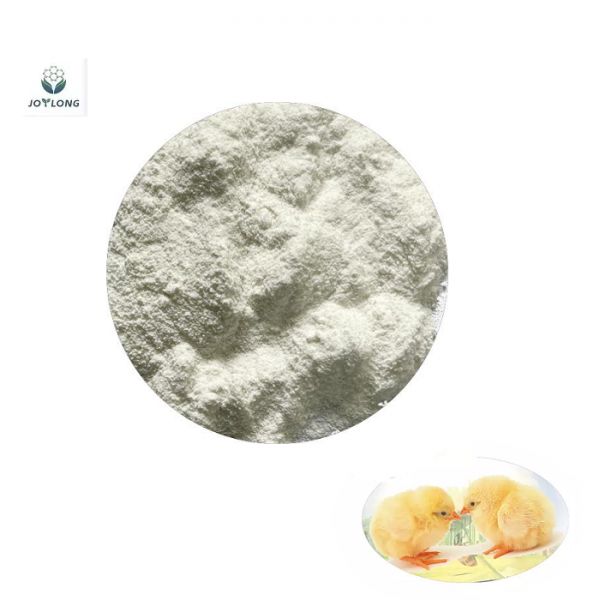 Factory Direct Pets Poultry Livestocks Feed Additive Probiotics Powder Enterococcus Faecium