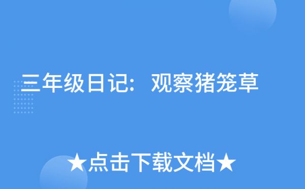 三年级日记:观察猪笼草