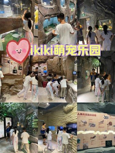 亲子探店｜抓住暑假小尾巴～萌宠乐园