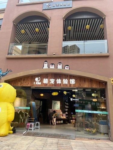 宠物店欢乐多