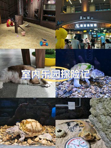室内乐园探险记