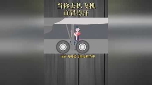 如果你去扒飞机，将会发生什么？知识
